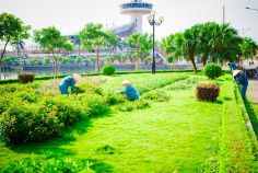 Dịch vụ vệ sinh công nghiệp, chăm sóc cây xanh